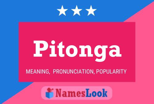 Постер имени Pitonga