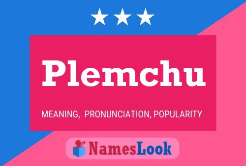 Постер имени Plemchu