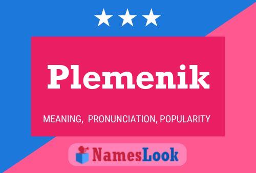 Постер имени Plemenik