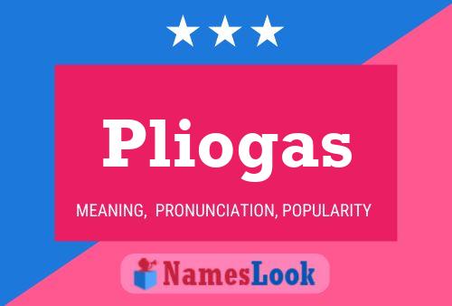 Постер имени Pliogas