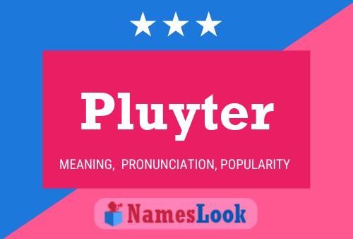 Постер имени Pluyter