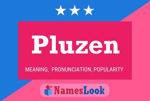 Постер имени Pluzen