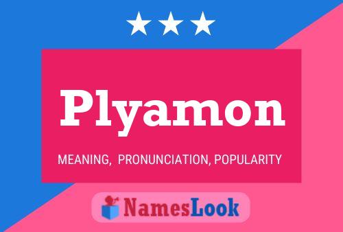 Постер имени Plyamon