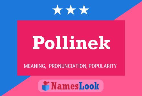 Постер имени Pollinek