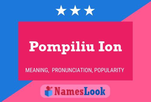 Постер имени Pompiliu Ion