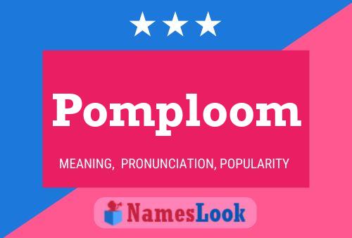 Постер имени Pomploom