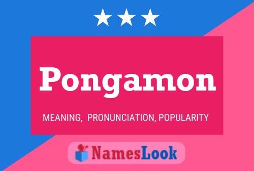 Постер имени Pongamon