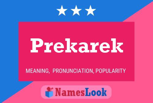 Постер имени Prekarek