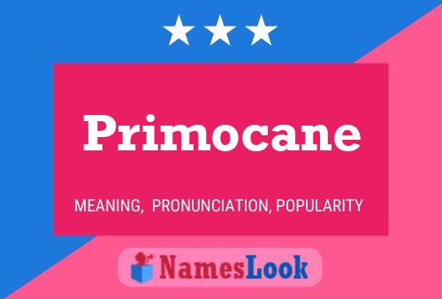 Постер имени Primocane