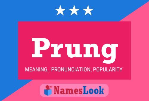 Постер имени Prung