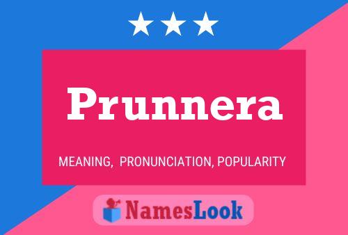 Постер имени Prunnera