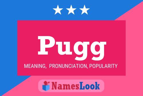 Постер имени Pugg