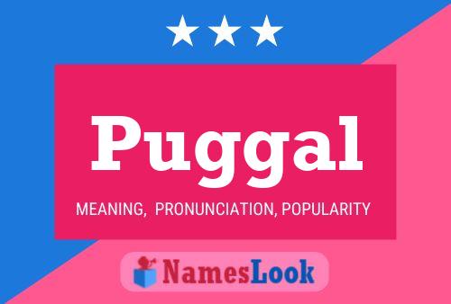 Постер имени Puggal