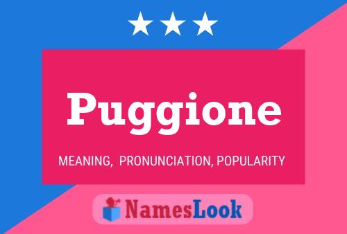 Постер имени Puggione