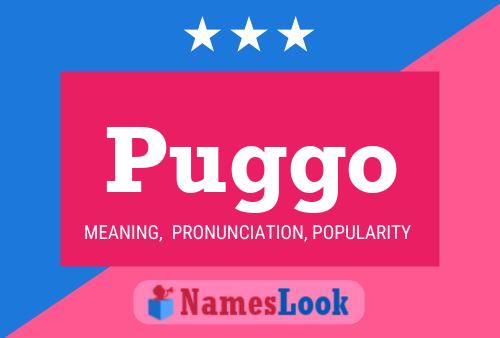 Постер имени Puggo