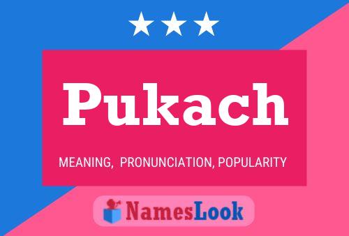 Постер имени Pukach