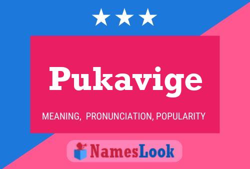 Постер имени Pukavige