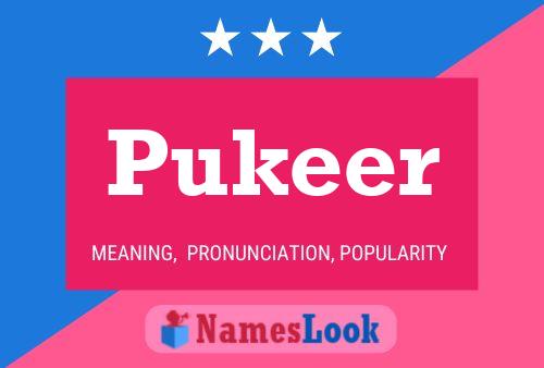 Постер имени Pukeer