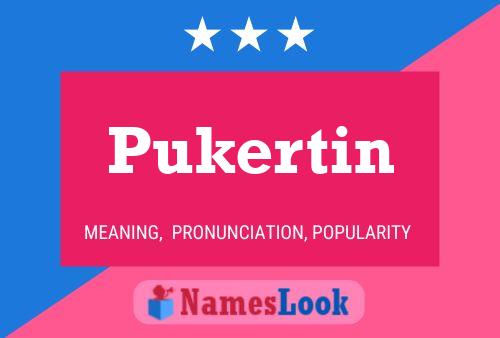 Постер имени Pukertin