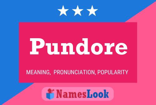 Постер имени Pundore