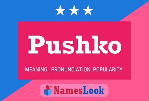 Постер имени Pushko