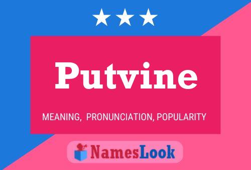 Постер имени Putvine