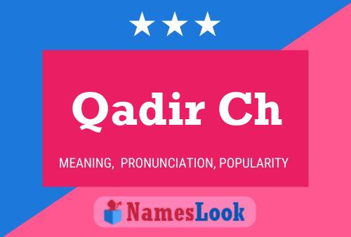 Постер имени Qadir Ch