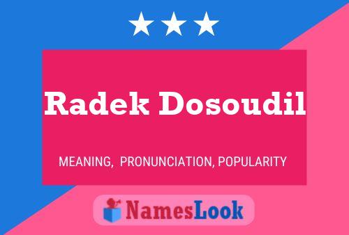 Постер имени Radek Dosoudil