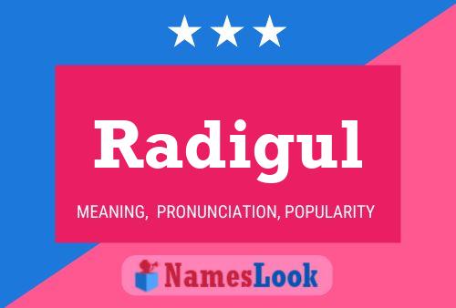 Постер имени Radigul