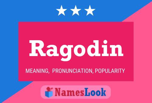 Постер имени Ragodin