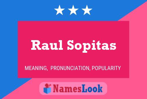 Постер имени Raul Sopitas