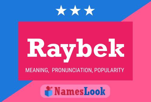 Постер имени Raybek