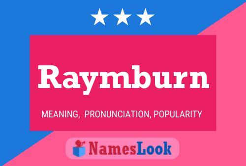 Постер имени Raymburn