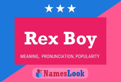 Постер имени Rex Boy