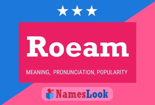 Постер имени Roeam