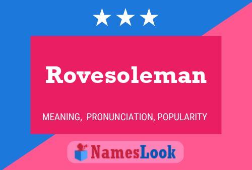 Постер имени Rovesoleman