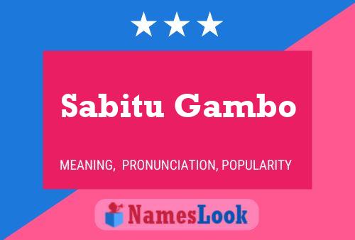 Постер имени Sabitu Gambo