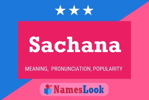 Постер имени Sachana