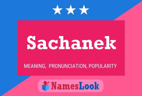 Постер имени Sachanek