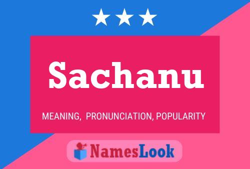 Постер имени Sachanu