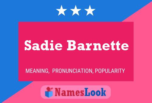 Постер имени Sadie Barnette