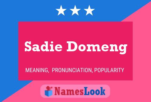 Постер имени Sadie Domeng