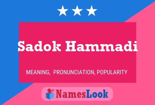 Постер имени Sadok Hammadi