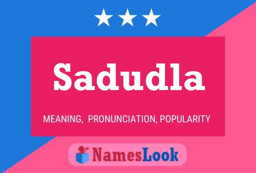 Постер имени Sadudla