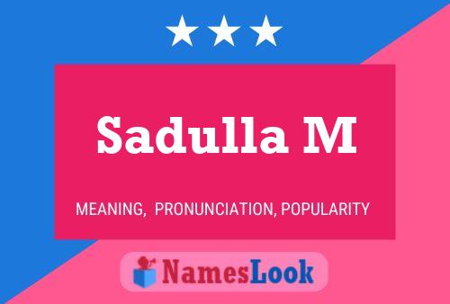 Постер имени Sadulla M