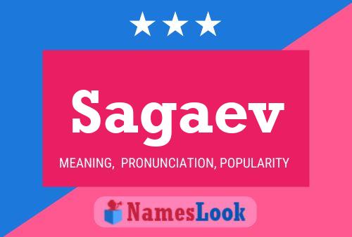 Постер имени Sagaev