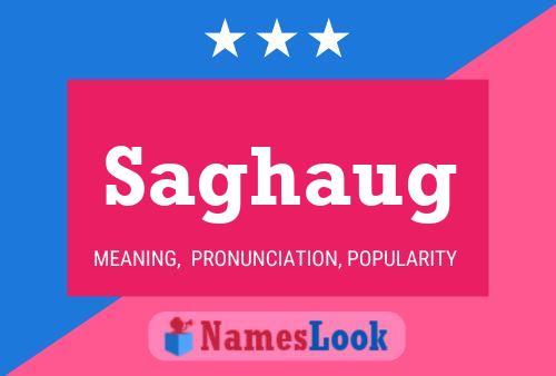 Постер имени Saghaug