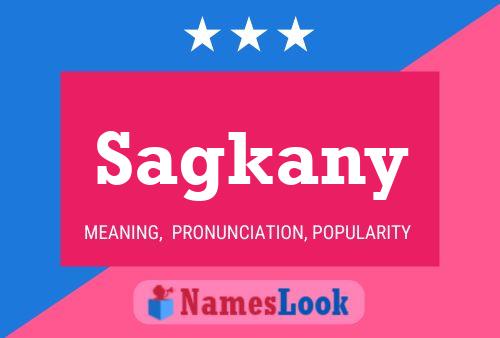 Постер имени Sagkany