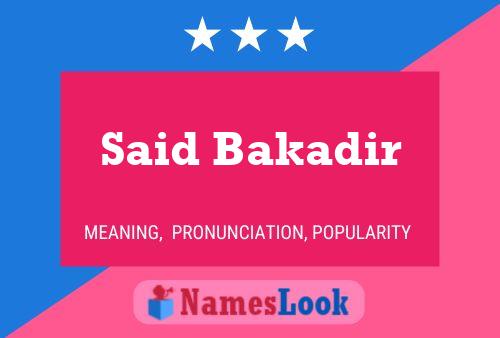 Постер имени Said Bakadir