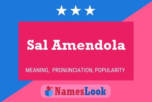 Постер имени Sal Amendola